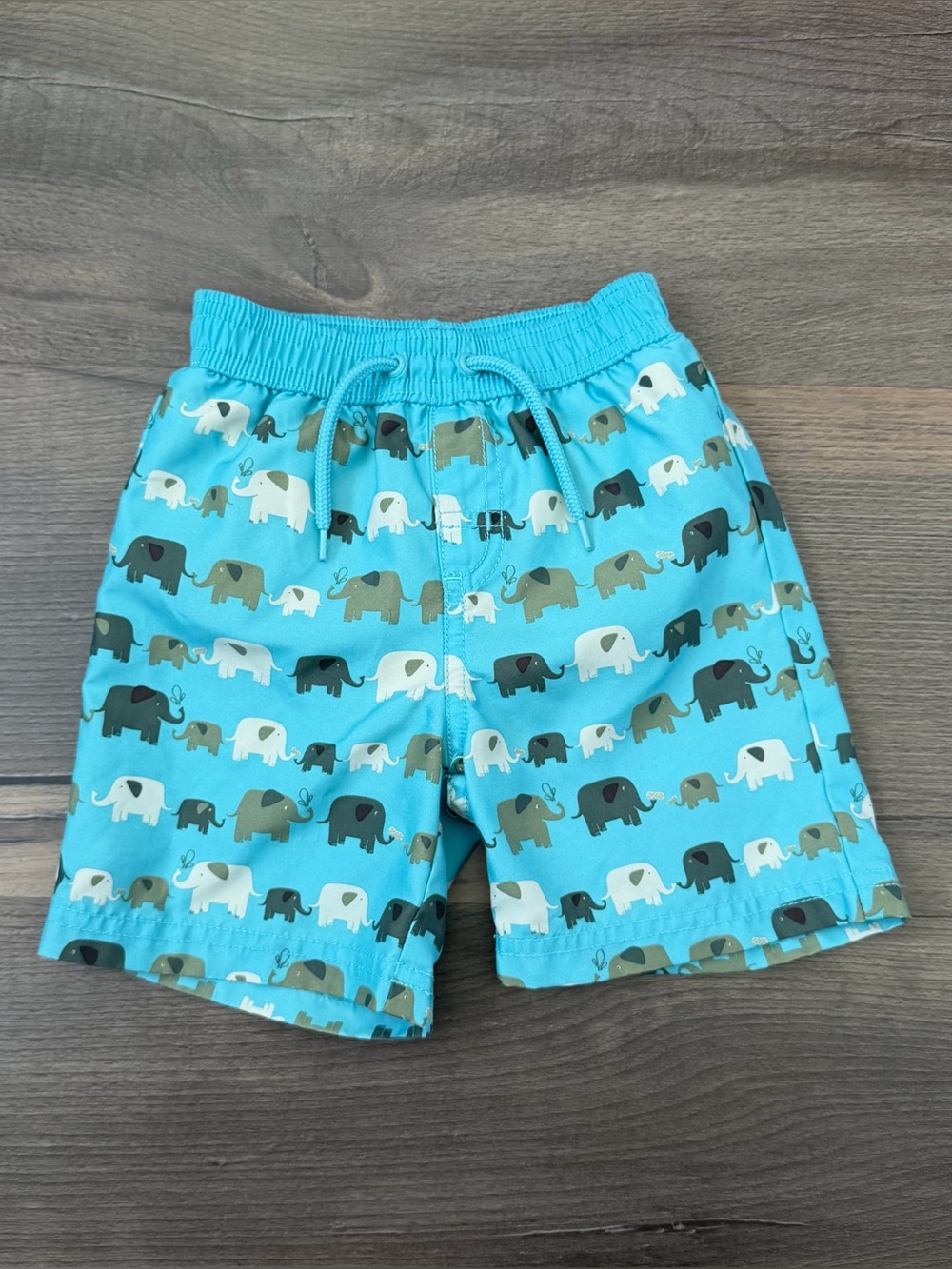 Y2K Gymboree '09 Elephant Swim Trunks Blue & Green Size 6-12 Months